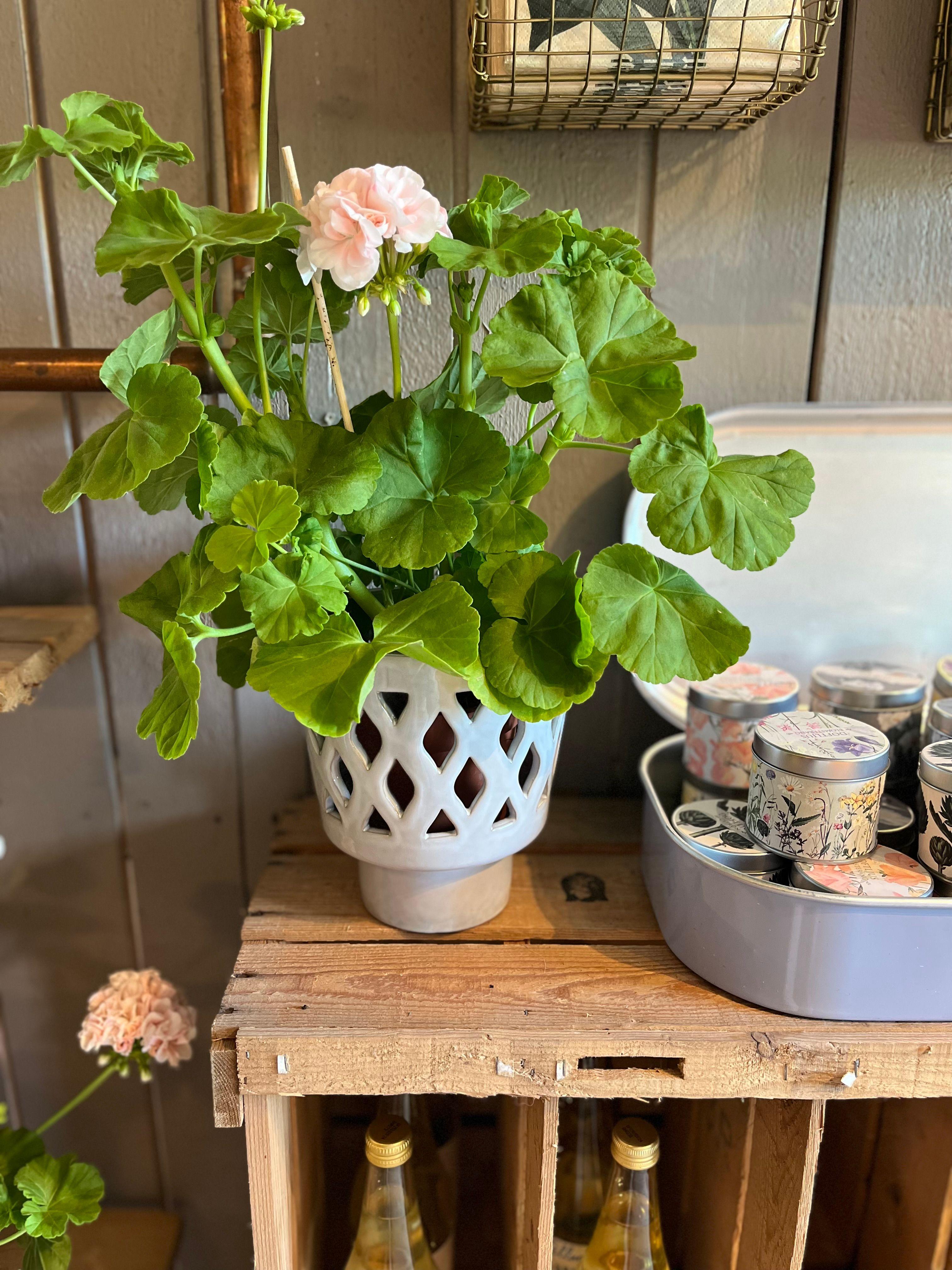 Inredning & presentartiklar